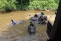 Bestandsnaam=ElephantPark_0062.jpg
Bestandsgrootte=366KiB
Afmetingen = 2048x1365
Datum toegevoegd = %14 %234 %2015 ElephantPark_0062.jpg