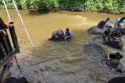 Bestandsnaam=ElephantPark_0063.jpg
Bestandsgrootte=358KiB
Afmetingen = 2048x1365
Datum toegevoegd = %14 %234 %2015 ElephantPark_0063.jpg