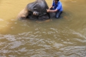 Bestandsnaam=ElephantPark_0064.jpg
Bestandsgrootte=257KiB
Afmetingen = 2048x1365
Datum toegevoegd = %14 %234 %2015 ElephantPark_0064.jpg