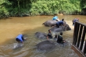 Bestandsnaam=ElephantPark_0066.jpg
Bestandsgrootte=439KiB
Afmetingen = 2048x1365
Datum toegevoegd = %14 %234 %2015 ElephantPark_0066.jpg