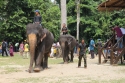 Bestandsnaam=ElephantPark_0067.jpg
Bestandsgrootte=473KiB
Afmetingen = 2048x1365
Datum toegevoegd = %14 %234 %2015 ElephantPark_0067.jpg