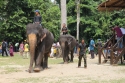 ElephantPark_0067.jpg