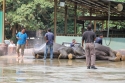 Bestandsnaam=ElephantPark_0074.jpg
Bestandsgrootte=351KiB
Afmetingen = 2048x1365
Datum toegevoegd = %14 %235 %2015 ElephantPark_0074.jpg