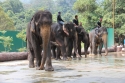 Bestandsnaam=ElephantPark_0075.jpg
Bestandsgrootte=361KiB
Afmetingen = 2048x1365
Datum toegevoegd = %14 %235 %2015 ElephantPark_0075.jpg
