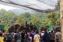 Bestandsnaam=ElephantPark_0077.jpg
Bestandsgrootte=465KiB
Afmetingen = 2048x1365
Datum toegevoegd = %14 %235 %2015 ElephantPark_0077.jpg