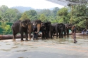 Bestandsnaam=ElephantPark_0078.jpg
Bestandsgrootte=407KiB
Afmetingen = 2048x1365
Datum toegevoegd = %14 %235 %2015 ElephantPark_0078.jpg