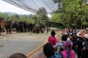 Bestandsnaam=ElephantPark_0079.jpg
Bestandsgrootte=387KiB
Afmetingen = 2048x1365
Datum toegevoegd = %14 %235 %2015 ElephantPark_0079.jpg
