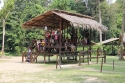 Bestandsnaam=ElephantPark_0080.jpg
Bestandsgrootte=548KiB
Afmetingen = 2048x1365
Datum toegevoegd = %14 %235 %2015 ElephantPark_0080.jpg
