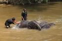 Bestandsnaam=Elephants_0021.jpg
Bestandsgrootte=277KiB
Afmetingen = 2048x1365
Datum toegevoegd = %15 %242 %2015 Elephants_0021.jpg