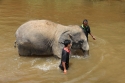 Bestandsnaam=Elephants_0034.jpg
Bestandsgrootte=253KiB
Afmetingen = 2048x1365
Datum toegevoegd = %15 %242 %2015 Elephants_0034.jpg