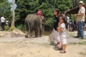 Elephants_0042.jpg