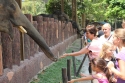 Bestandsnaam=Elephants_0047.jpg
Bestandsgrootte=371KiB
Afmetingen = 2048x1365
Datum toegevoegd = %15 %243 %2015 Elephants_0047.jpg