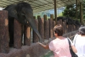 Bestandsnaam=Elephants_0048.jpg
Bestandsgrootte=270KiB
Afmetingen = 2048x1365
Datum toegevoegd = %15 %243 %2015 Elephants_0048.jpg