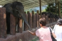 Elephants_0048.jpg