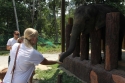 Elephants_0049.jpg