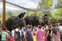 Bestandsnaam=Elephants_0055.jpg
Bestandsgrootte=327KiB
Afmetingen = 2048x1365
Datum toegevoegd = %15 %244 %2015 Elephants_0055.jpg