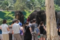 Bestandsnaam=Elephants_0056.jpg
Bestandsgrootte=333KiB
Afmetingen = 2048x1365
Datum toegevoegd = %15 %244 %2015 Elephants_0056.jpg