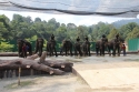 Elephants_0059.jpg