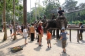 Elephants_0065.jpg