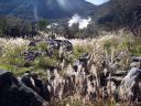 Bestandsnaam=Japan_0432.jpg
Bestandsgrootte=568KiB
Afmetingen = 2048x1536
Datum toegevoegd = %29 %226 %2014 Japan_0432.jpg