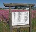 Bestandsnaam=Japan_0632.jpg
Bestandsgrootte=494KiB
Afmetingen = 2048x1813
Datum toegevoegd = %29 %239 %2014 Japan_0632.jpg