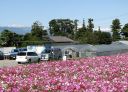 Bestandsnaam=Japan_0633.jpg
Bestandsgrootte=521KiB
Afmetingen = 2048x1487
Datum toegevoegd = %29 %239 %2014 Japan_0633.jpg