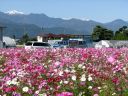 Bestandsnaam=Japan_0636.jpg
Bestandsgrootte=489KiB
Afmetingen = 2048x1536
Datum toegevoegd = %29 %239 %2014 Japan_0636.jpg