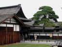 Japan_0820.jpg