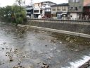 Japan_0828.jpg