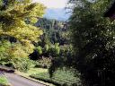 Japan_0884.jpg