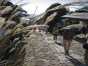 Japan_0887.jpg