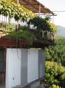 Japan_0890.jpg