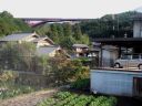 Japan_0925.jpg