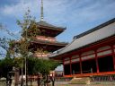 Bestandsnaam=Japan_0958.jpg
Bestandsgrootte=361KiB
Afmetingen = 2048x1536
Datum toegevoegd = %29 %262 %2014 Japan_0958.jpg