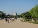 Bestandsnaam=Japan_1276.jpg
Bestandsgrootte=226KiB
Afmetingen = 2048x1536
Datum toegevoegd = %29 %286 %2014 Japan_1276.jpg