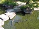 Bestandsnaam=Japan_1319.jpg
Bestandsgrootte=418KiB
Afmetingen = 2048x1536
Datum toegevoegd = %29 %289 %2014 Japan_1319.jpg