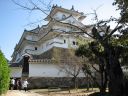 Bestandsnaam=Japan_1348.jpg
Bestandsgrootte=396KiB
Afmetingen = 2048x1536
Datum toegevoegd = %29 %291 %2014 Japan_1348.jpg