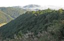Bestandsnaam=Japan_1449.jpg
Bestandsgrootte=377KiB
Afmetingen = 2048x1323
Datum toegevoegd = %29 %296 %2014 Japan_1449.jpg