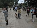 Bestandsnaam=Japan_1499.jpg
Bestandsgrootte=344KiB
Afmetingen = 2048x1536
Datum toegevoegd = %29 %300 %2014 Japan_1499.jpg