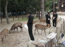 Bestandsnaam=Japan_1502.jpg
Bestandsgrootte=451KiB
Afmetingen = 2048x1513
Datum toegevoegd = %29 %301 %2014 Japan_1502.jpg