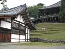 Bestandsnaam=Japan_1632.jpg
Bestandsgrootte=400KiB
Afmetingen = 2048x1536
Datum toegevoegd = %29 %317 %2014 Japan_1632.jpg