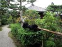 Bestandsnaam=Japan_1636.jpg
Bestandsgrootte=555KiB
Afmetingen = 2048x1536
Datum toegevoegd = %29 %317 %2014 Japan_1636.jpg