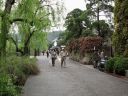 Bestandsnaam=Japan_1861.jpg
Bestandsgrootte=491KiB
Afmetingen = 2048x1536
Datum toegevoegd = %29 %375 %2014 Japan_1861.jpg