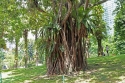 Bestandsnaam=KLCC_PARK_0048.jpg
Bestandsgrootte=590KiB
Afmetingen = 2048x1365
Datum toegevoegd = %14 %327 %2015 KLCC_PARK_0048.jpg