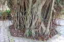 Bestandsnaam=KLCC_PARK_0052.jpg
Bestandsgrootte=548KiB
Afmetingen = 2048x1365
Datum toegevoegd = %14 %327 %2015 KLCC_PARK_0052.jpg