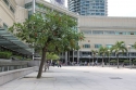Bestandsnaam=KLCC_PARK_0059.jpg
Bestandsgrootte=382KiB
Afmetingen = 2048x1365
Datum toegevoegd = %14 %328 %2015 KLCC_PARK_0059.jpg
