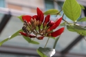 Bestandsnaam=KLCC_PARK_0068.jpg
Bestandsgrootte=139KiB
Afmetingen = 2048x1365
Datum toegevoegd = %14 %328 %2015 KLCC_PARK_0068.jpg