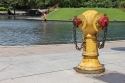 Bestandsnaam=KLCC_PARK_0072.jpg
Bestandsgrootte=322KiB
Afmetingen = 2048x1365
Datum toegevoegd = %14 %329 %2015 KLCC_PARK_0072.jpg