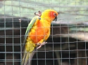 KL_Birdpark_0002.jpg