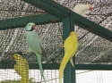 KL_Birdpark_0005.jpg